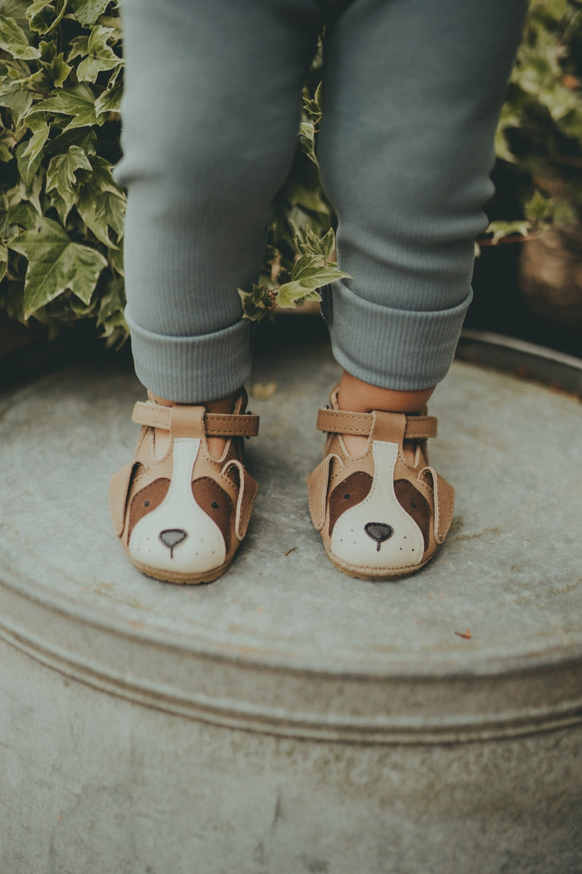 Spark Special Shoes | Saint Bernard | Truffle Nubuck