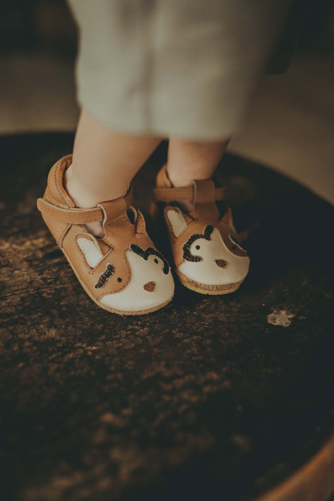 Spark Exclusive Shoes | Calico Cat | Nutmeg Leather