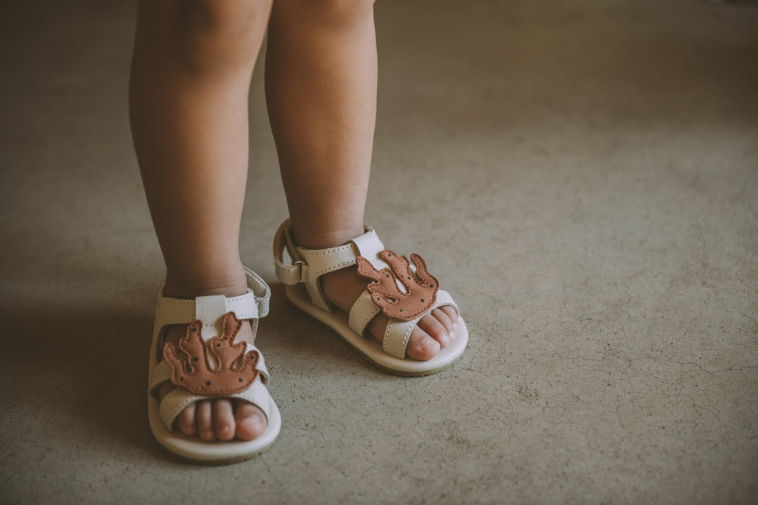 Ushy Sandals | Coral | Walnut Nubuck