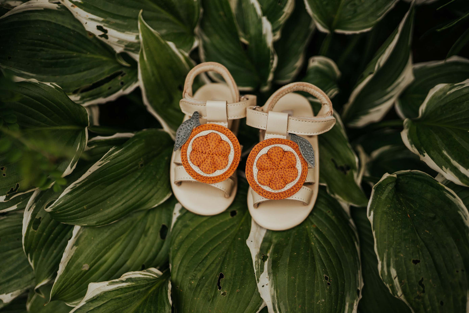 Sadie Sandals | Arancia | Cream Leather