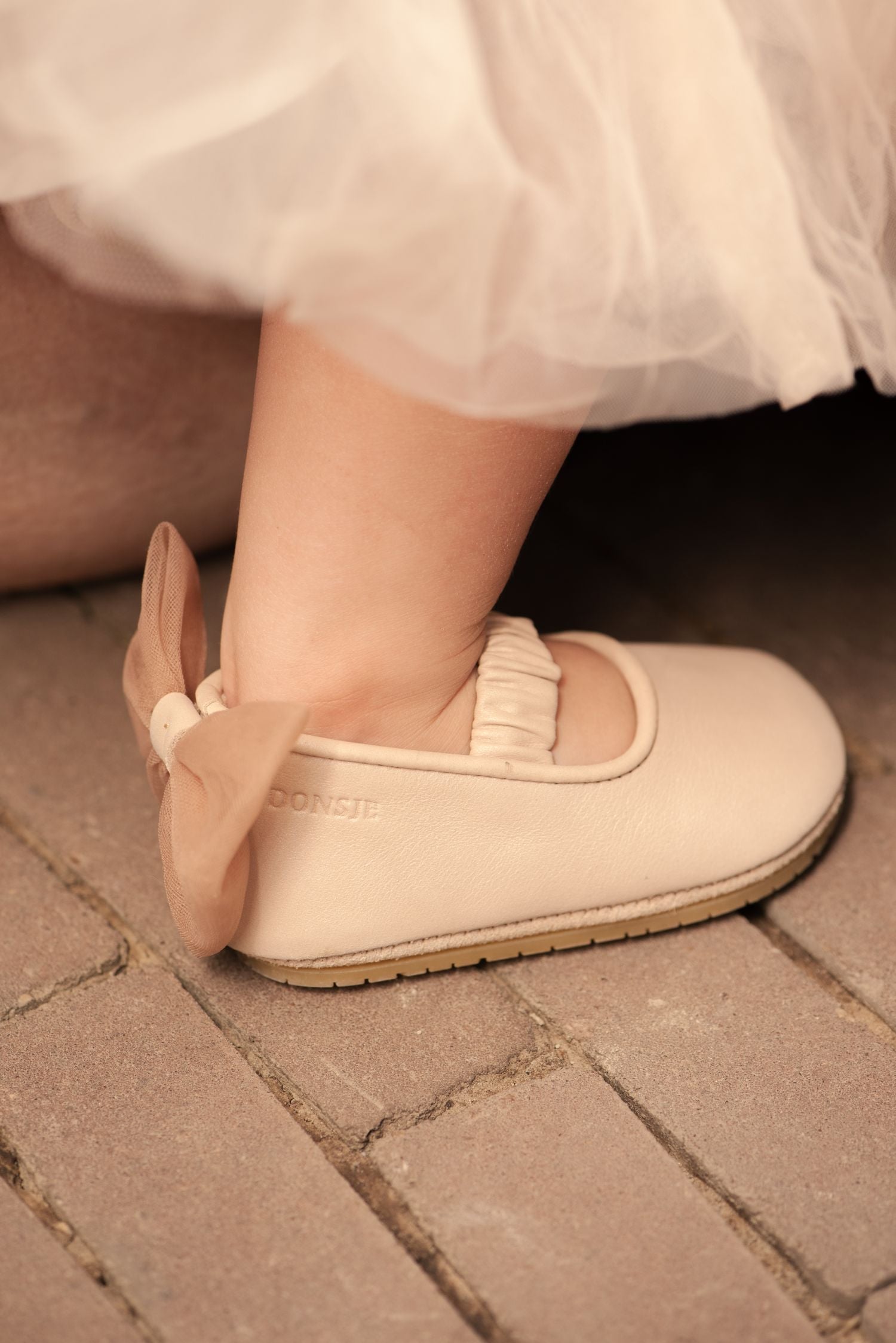 Luyax Ballerinas | Powder Metallic Nubuck