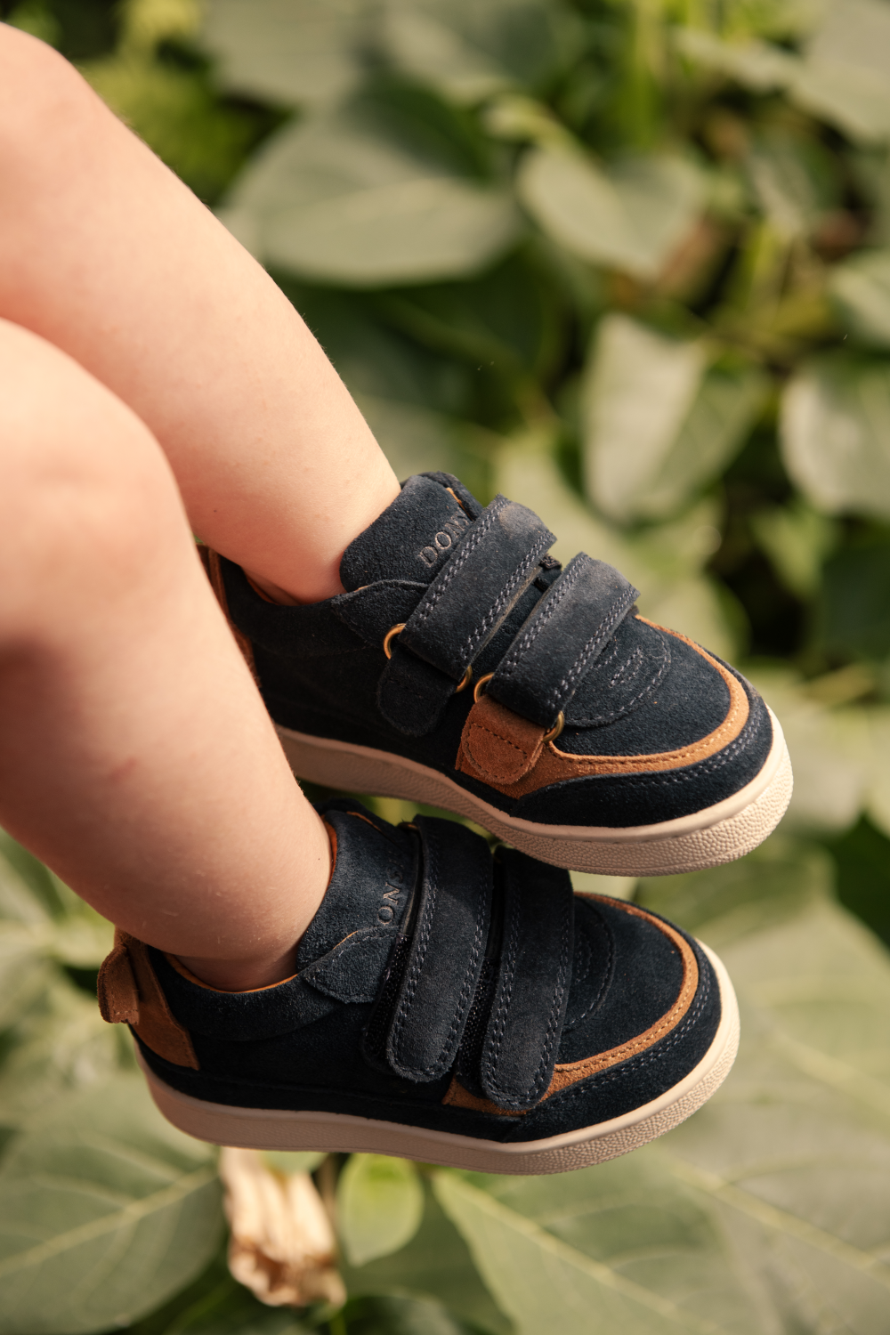 Pinou Sneakers | Koala | Navy Suede