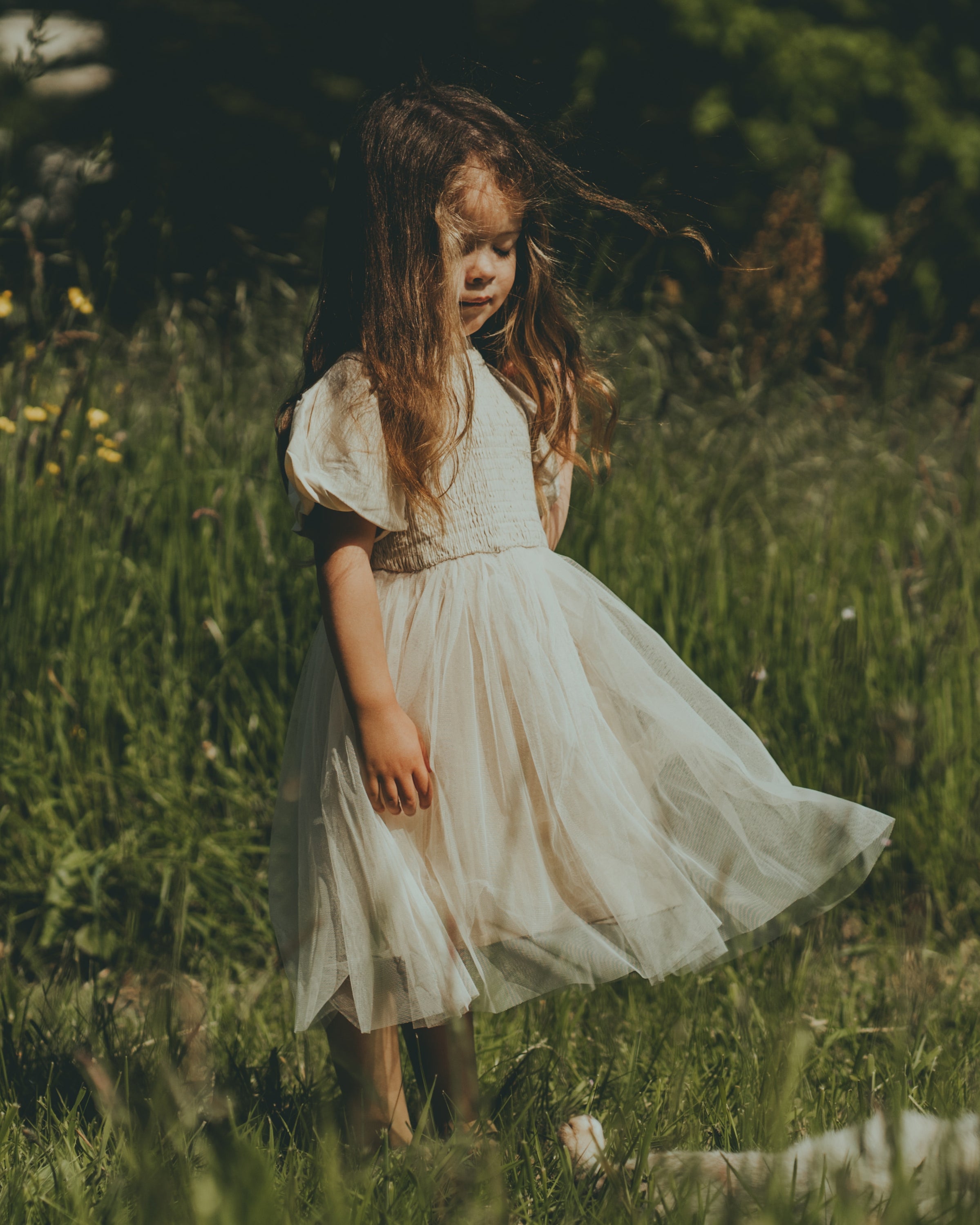 Ambre Dress | Warm White