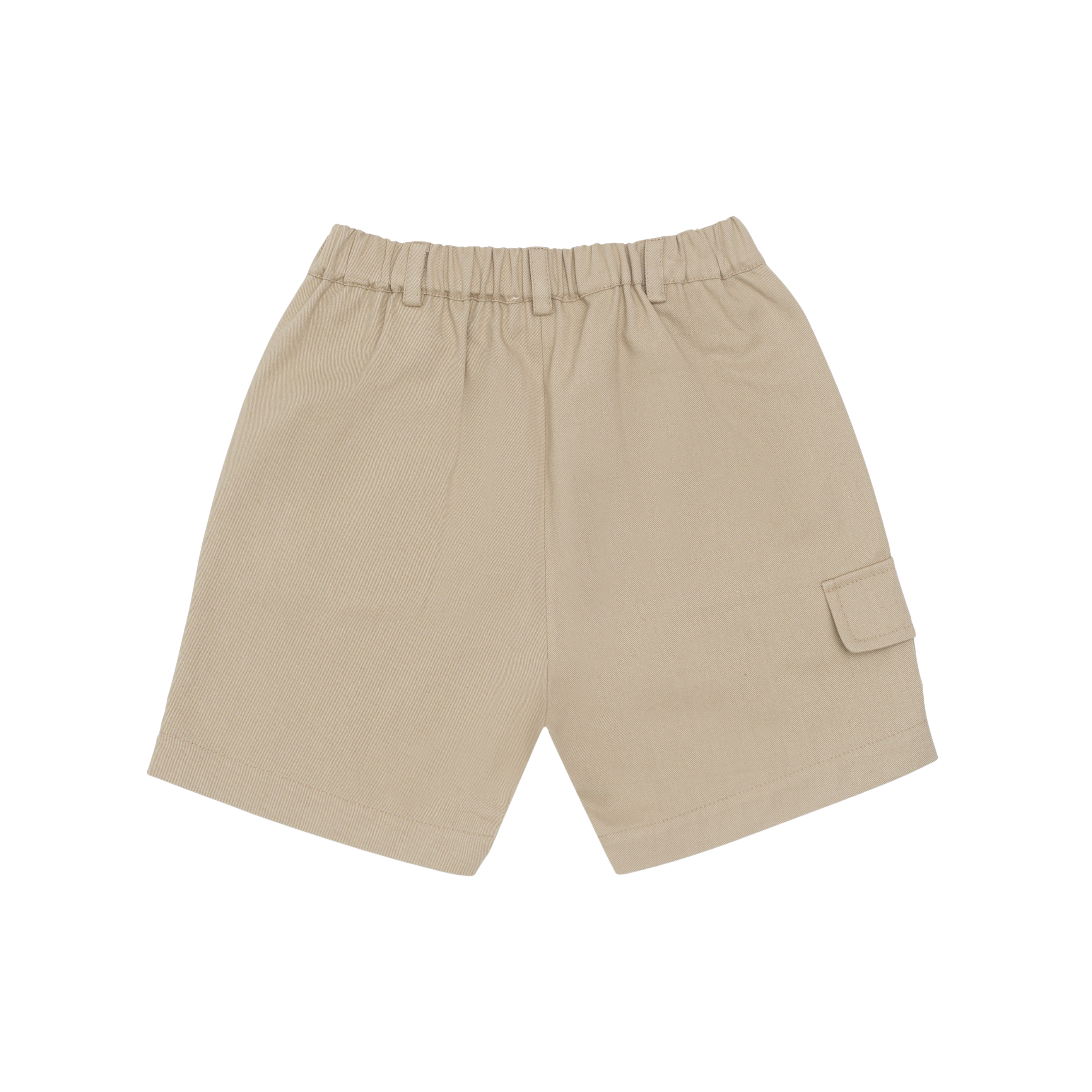Nik Shorts | Biscotti