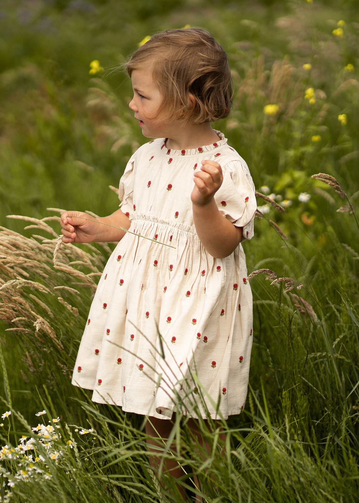 Camilla Dress | Red Roses | Soft Sand