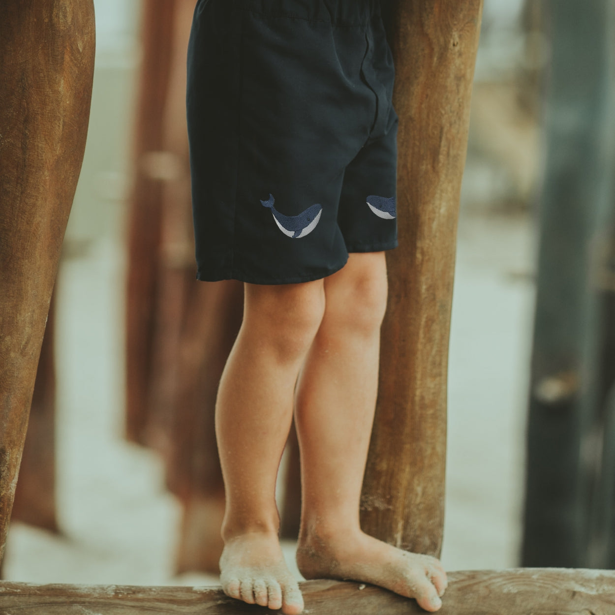 Seba Swim Shorts | Whale | Navy