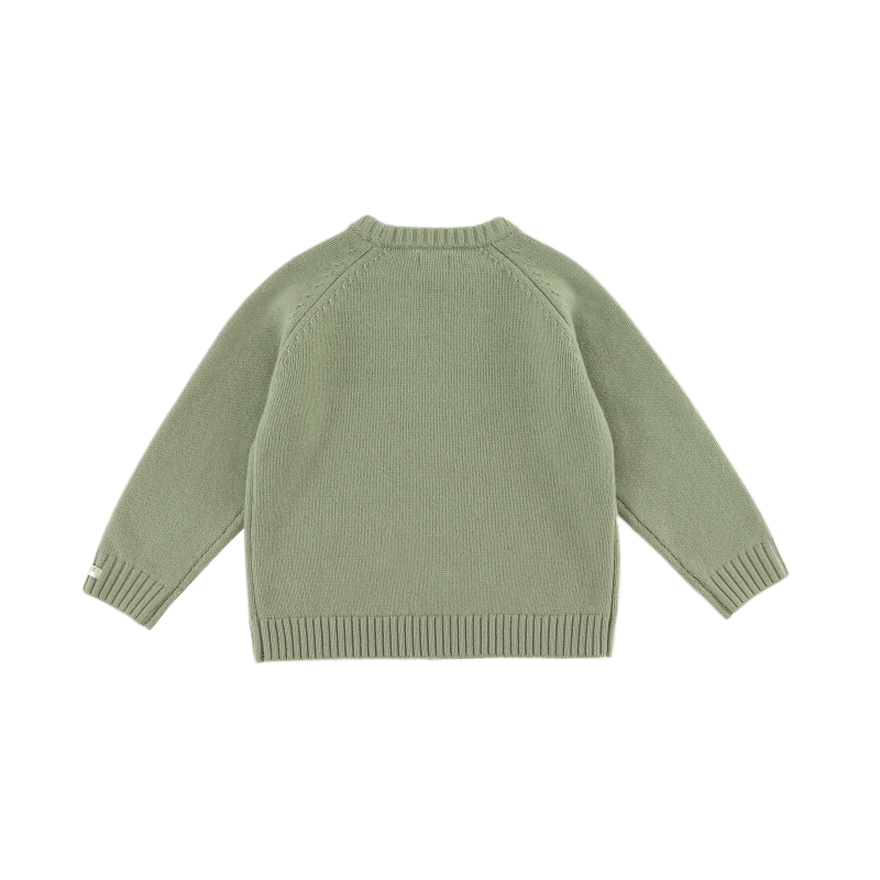 Fionn Merino Wool Sweater | Desert Green