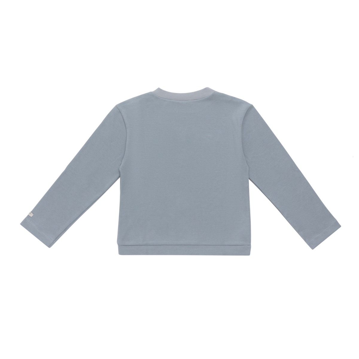 Jorijn Longsleeve | Bear | Foggy Blue