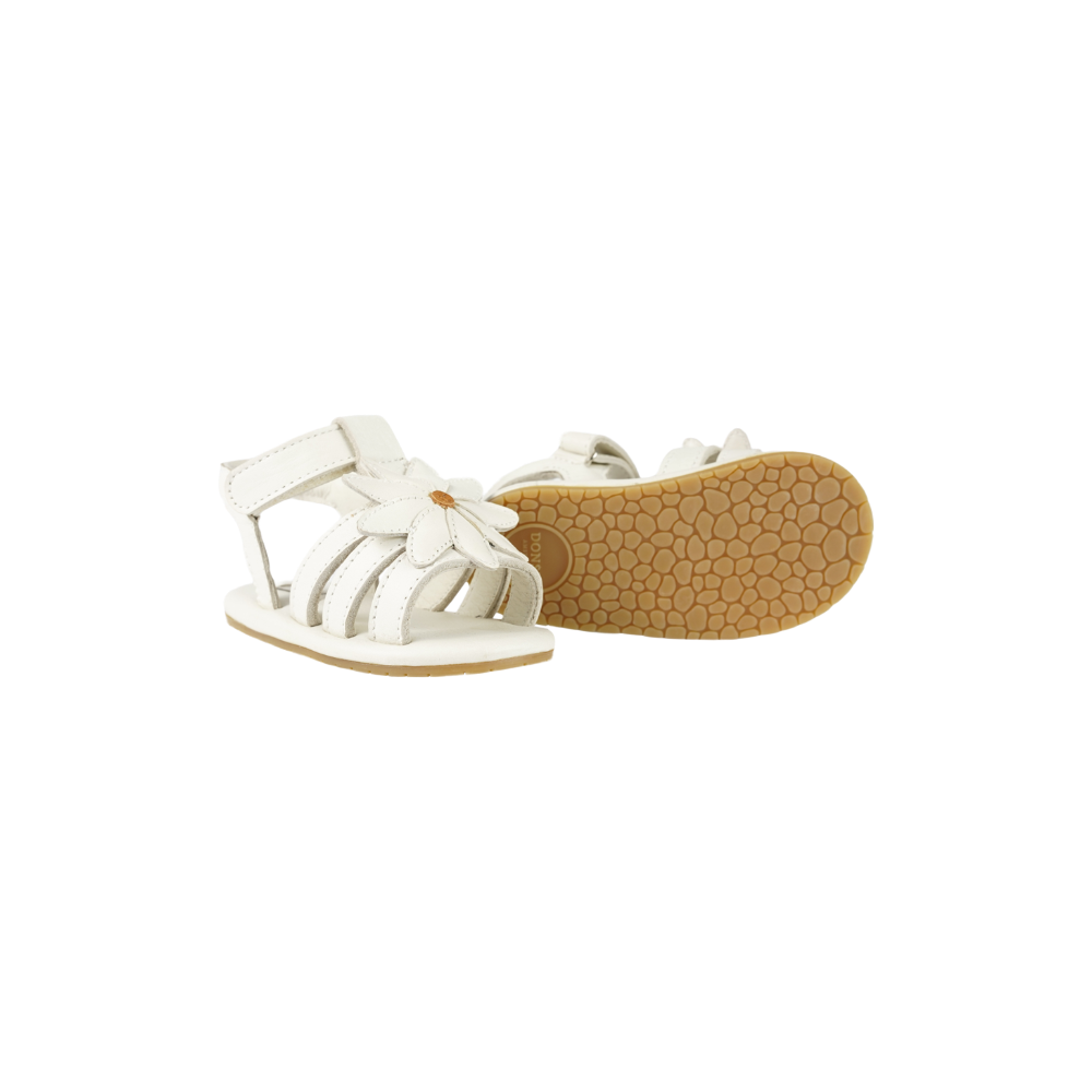 Tuti Fields Sandals | Daisy | Off White Leather