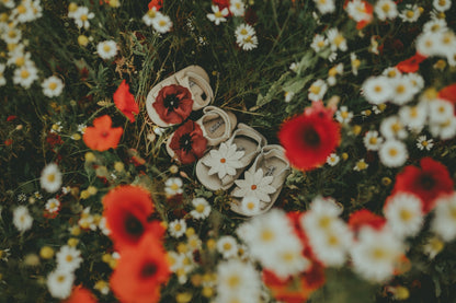 Tuti Fields | Poppy | Scarlet Classic Leather