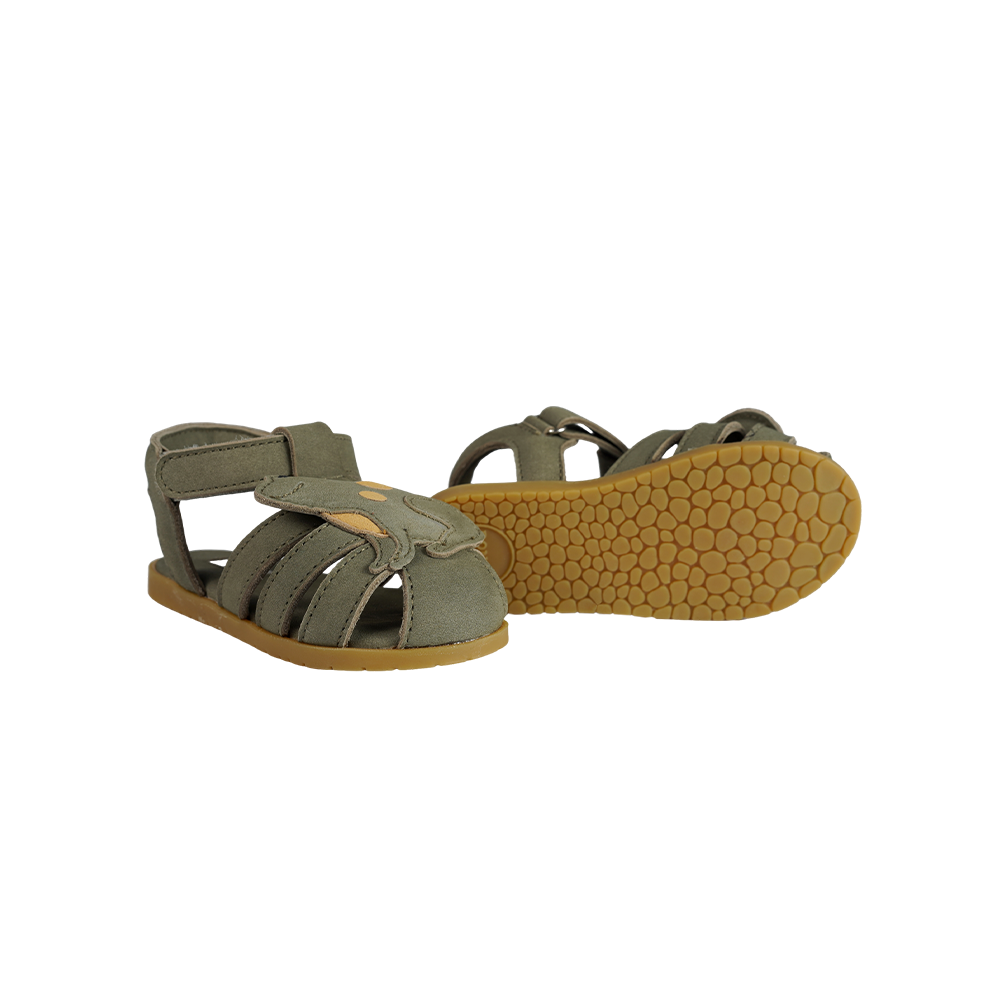 Damio Sandals | Frog | Stone Nubuck