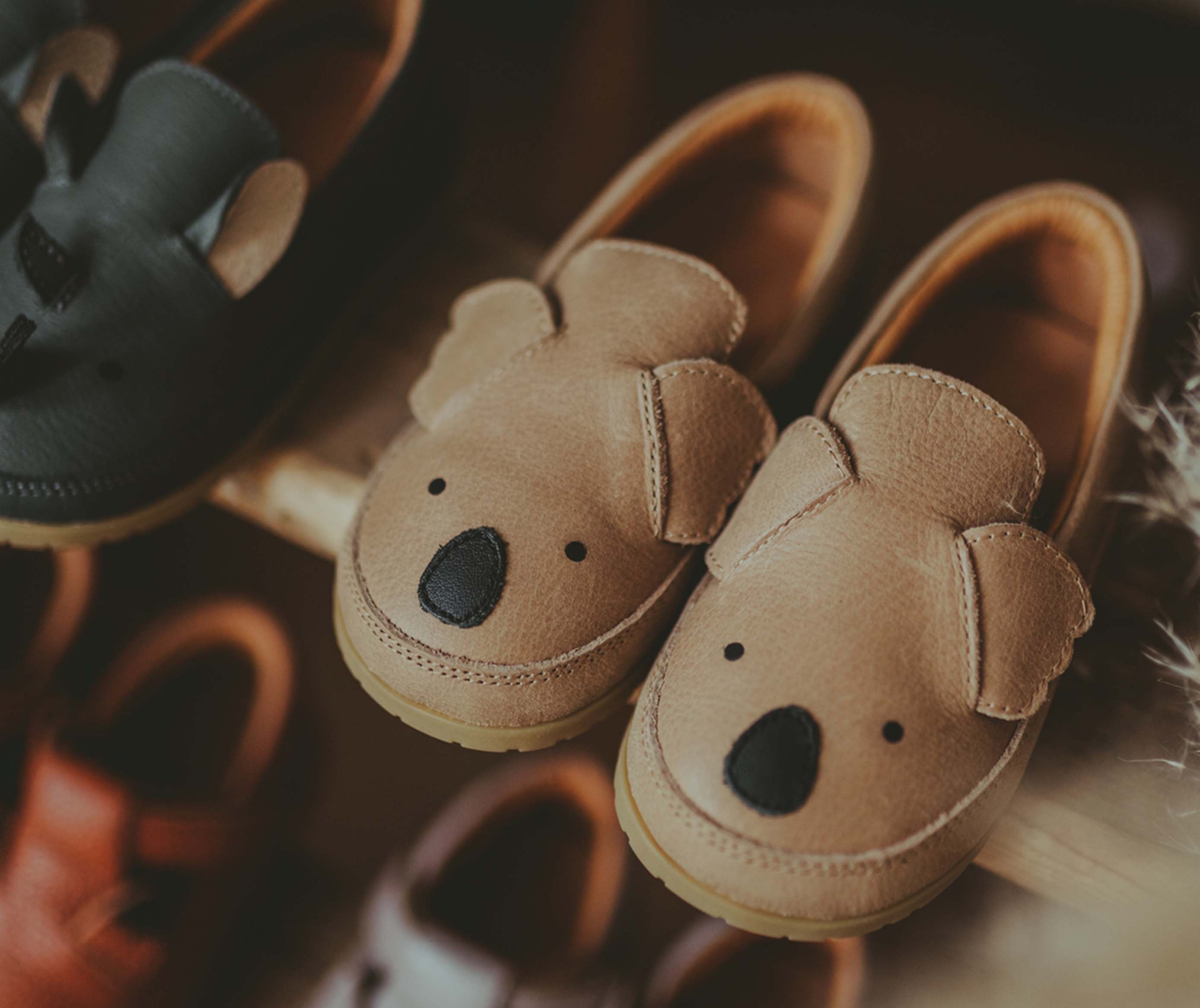 Koala kids shoes online