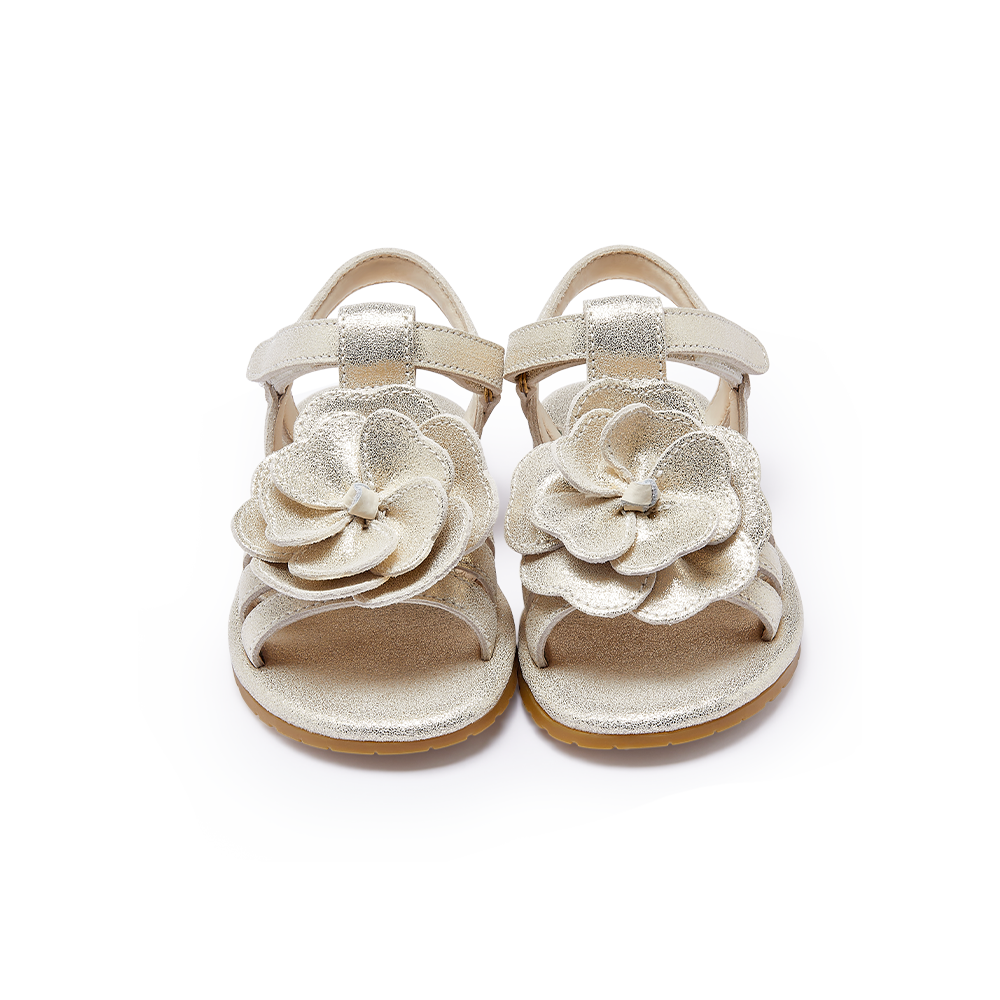 Iles Fields Sandals | Shimmer Buttercup | Silver Metallic Leather