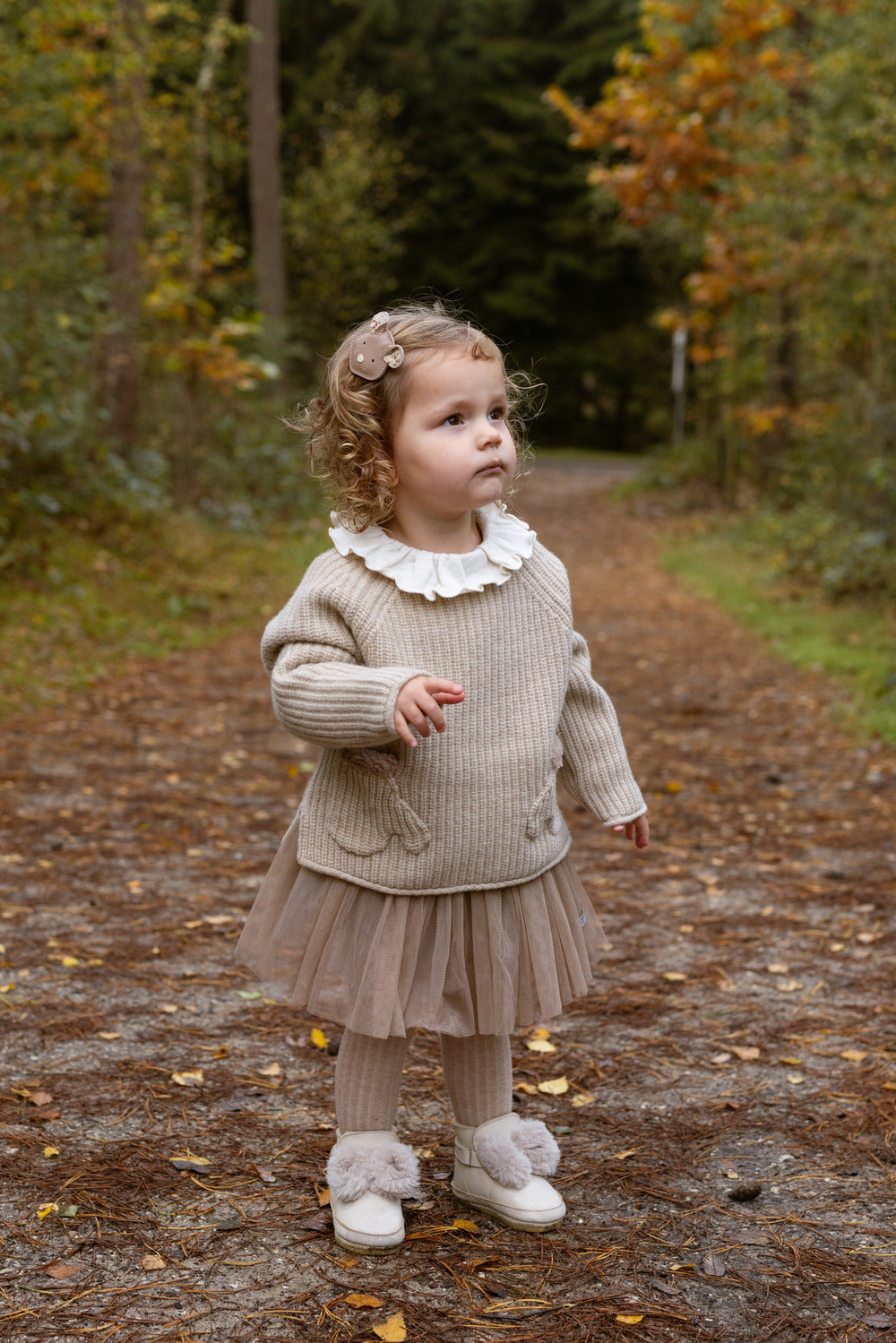 Pawien Merino Wool Sweater | Biscotti Melange