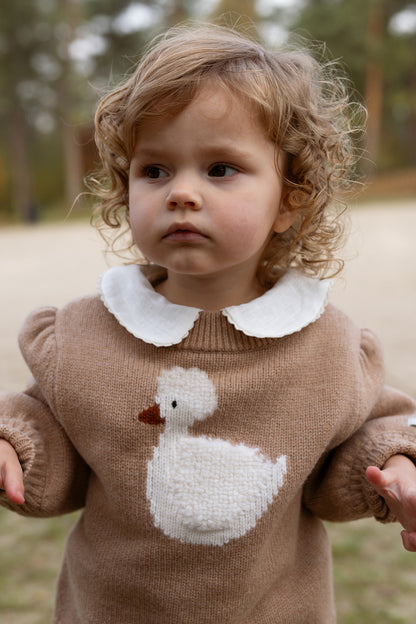 Denna Merino Wool Sweater | Duck | Hazelnut