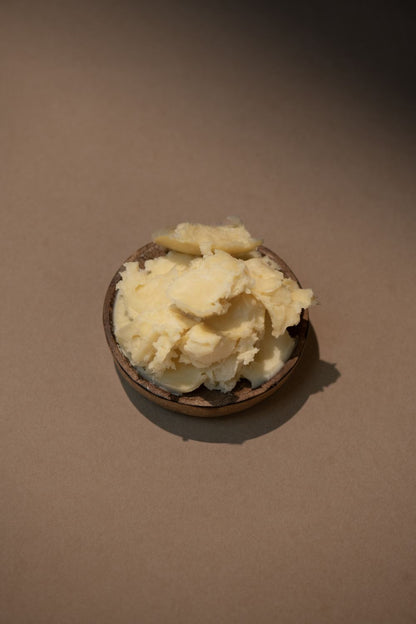Nourishing Body Lotion | Fig Extract + Shea Butter