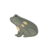 Lipu Clip | Frog | Stone Nubuck