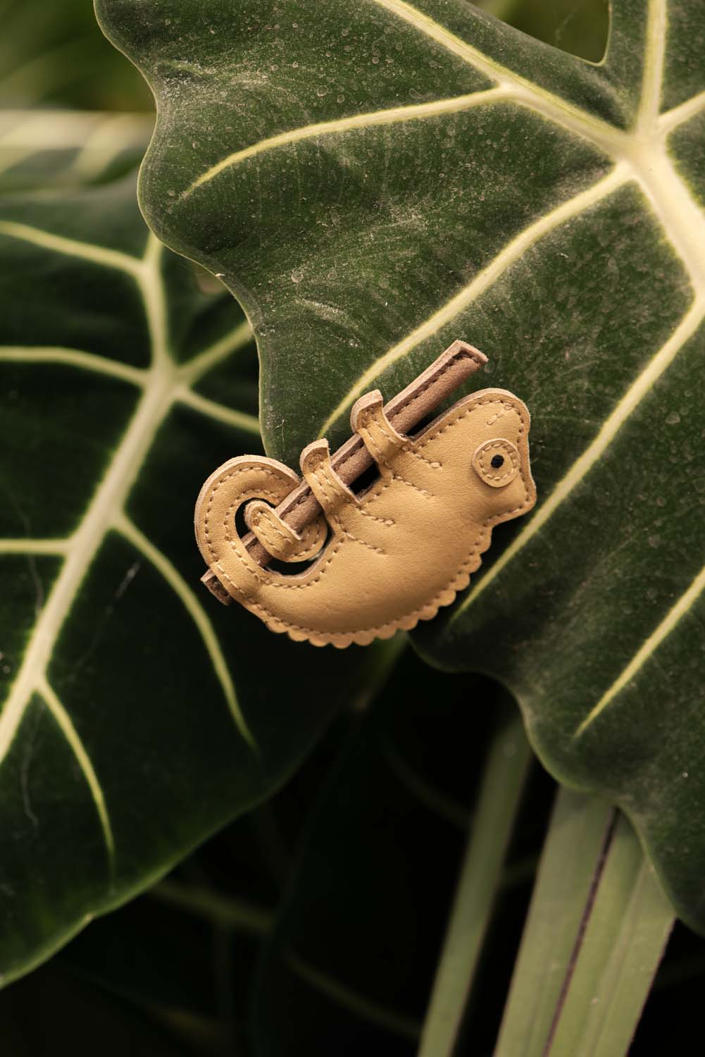 Talei Clip | Yellow Chameleon | Khaki Nubuck