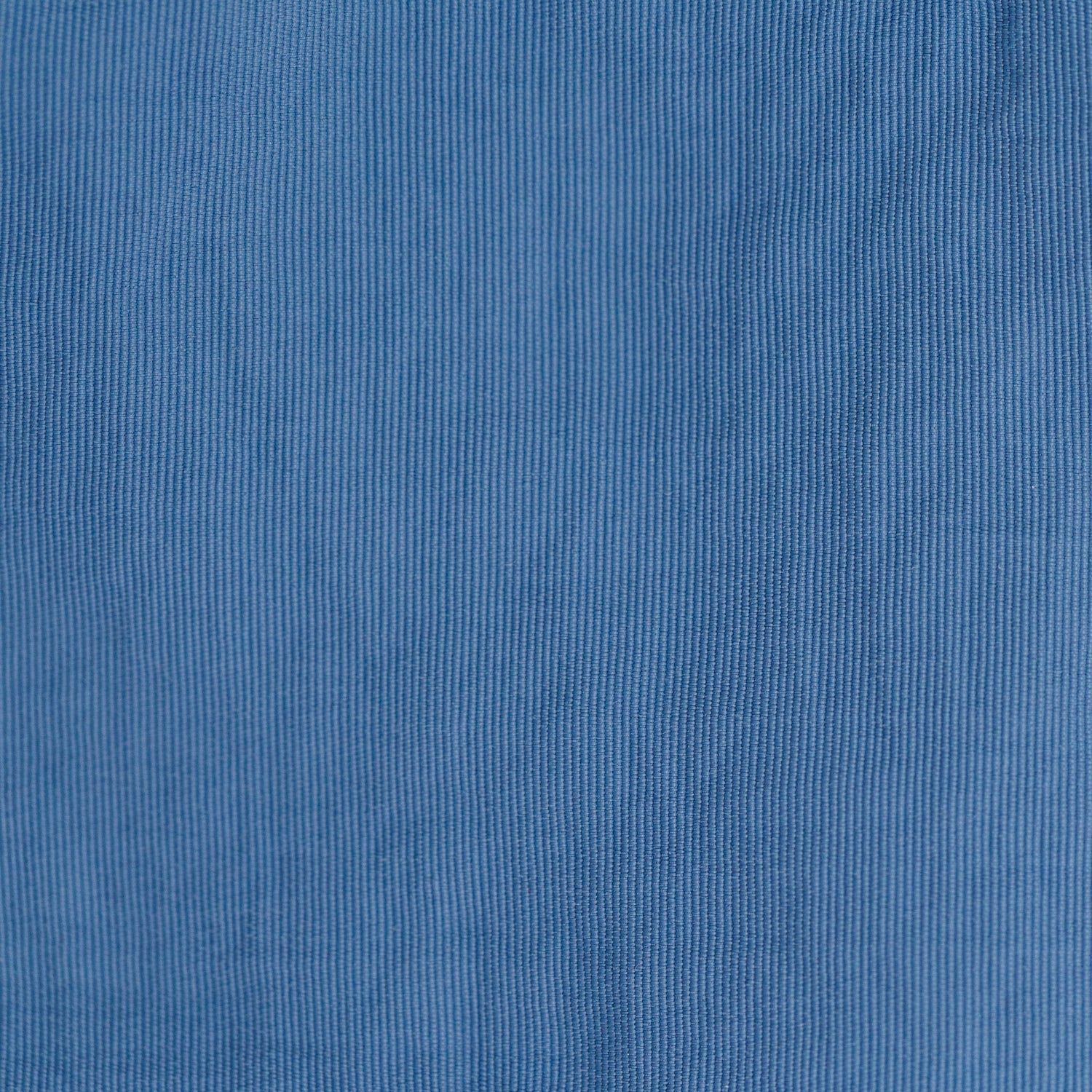 Wangu Swim Shorts | Whales | Royal Blue