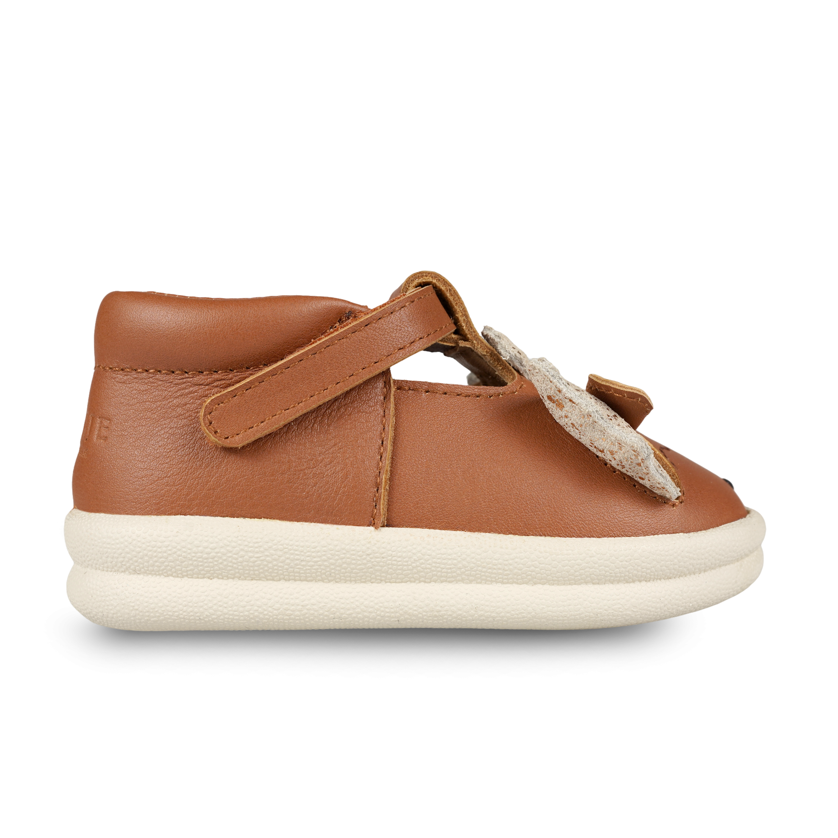 Zazo Exclusive Shoes | Dragon | Maple Leather